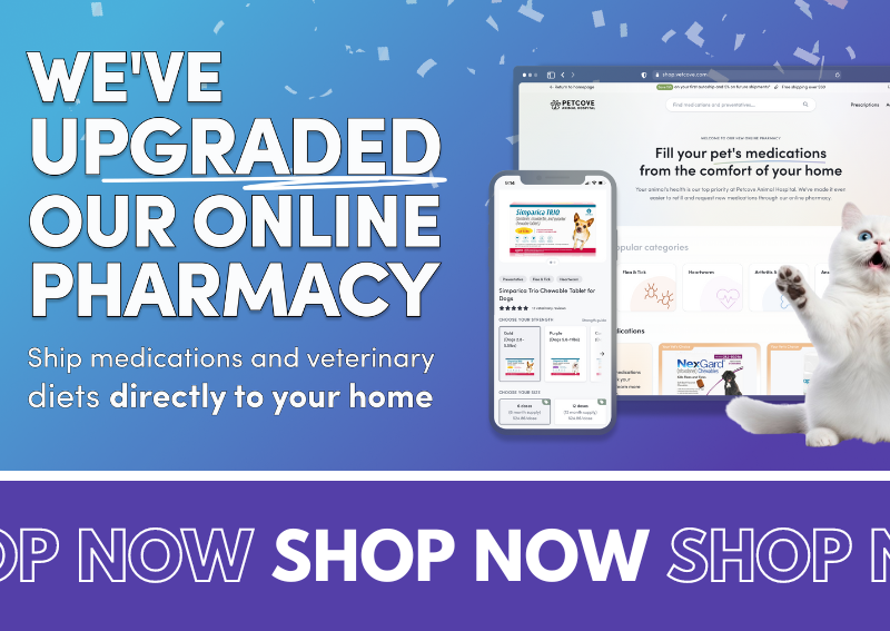 Carousel Slide 2: Shop our new and improved online pharmacy